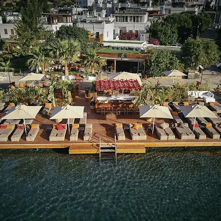 Otel Galen House 3*