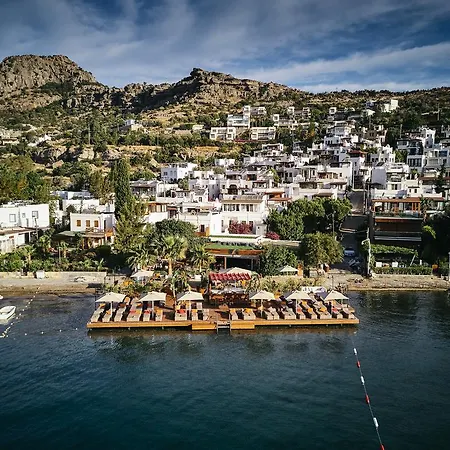 Galen House Otel 3*