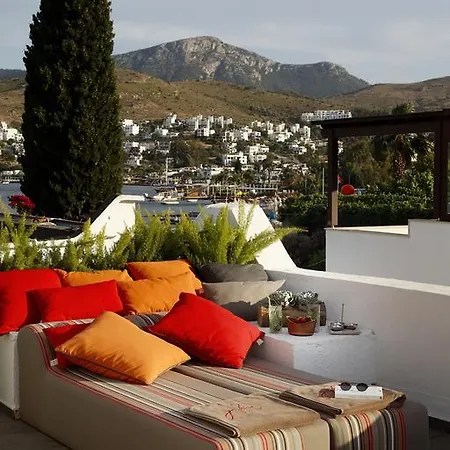 فندق Galen House 3*