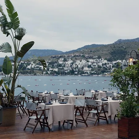 Galen House غولتوركبوكو