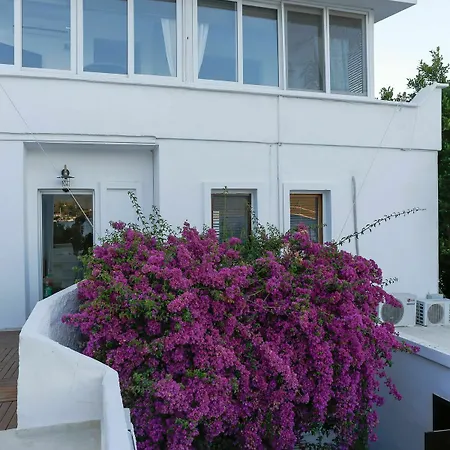 Galen House מלון