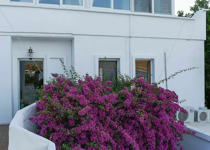 Galen House Hotel