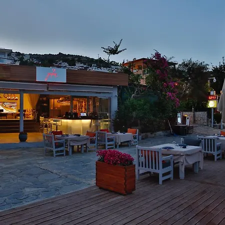 Ξενοδοχείο Galen House 3*