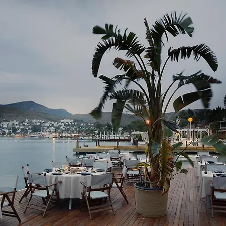 Galen House Hotel Golturkbuku