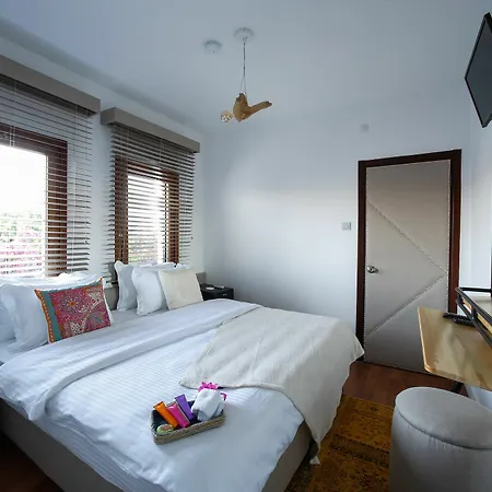 Galen House Golturkbuku