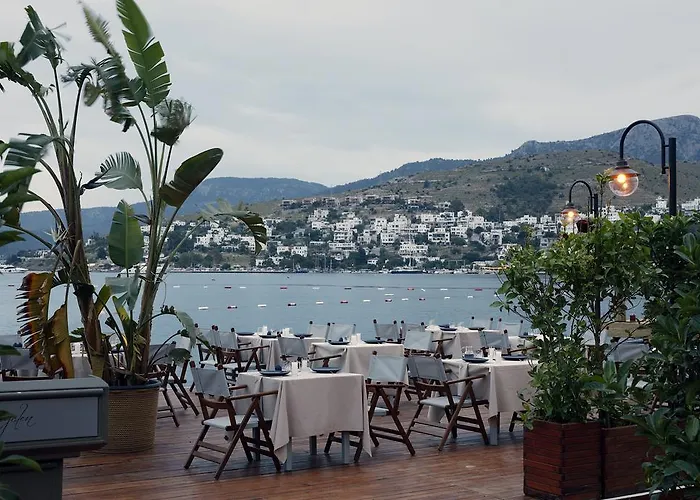 Galen House 골터크부쿠